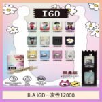 B.A IGD12000口 電子煙